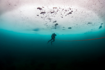 Scuba diver under the ice