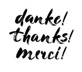 Thank you lettering in english, french, german Thanks, Merci, Danke Hand drawn vector phrase. Handwritten modern brush calligraphy for invitation and greeting card