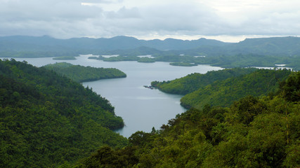 Fototapeta na wymiar ecosystem with lake green forest on mountain chain
