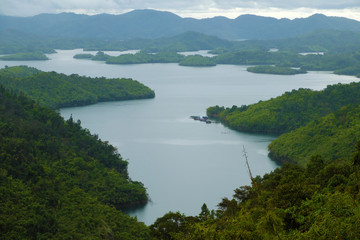 Obraz na płótnie Canvas ecosystem with lake green forest on mountain chain
