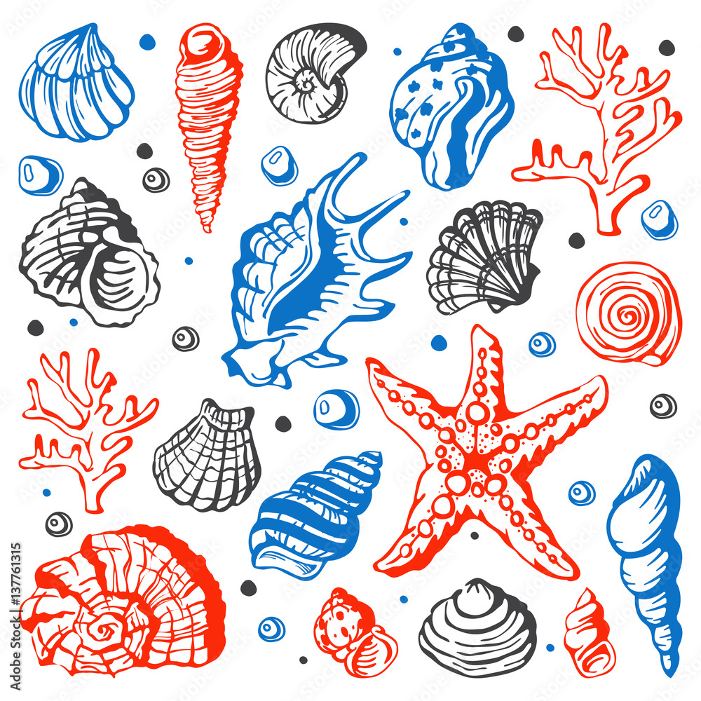 Wall mural Sea marine shells hand drawn sketch vector illustration. - Wall murals