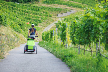 Young Parent Cycling Through Vineyards With Bike Trailer