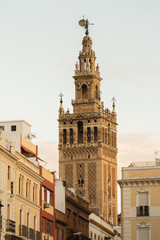 Fototapeta na wymiar tower of Sevilla cathedral