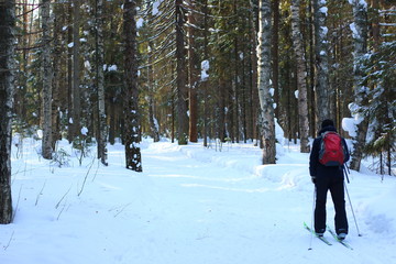 man skiing in the wood