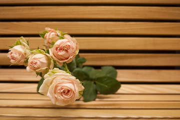 Pink rose bouquet closup on a wooden bench