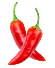 chili pepper isolated
