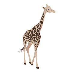 Giraffe abstract vector isolated illustration