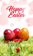 Easter eggs on green gras with - Easter greeting card with Happy Easter