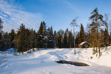 Wooden house in winter forest