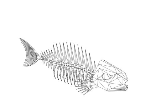 Polygonal Fish skeleton. Isolated on white background. Vector outline illustration.