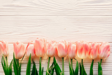 spring flat lay. pink tulips on white rustic wooden background flat lay. top view of flowers in...