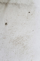 Wall texture