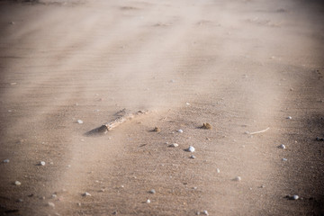 closeup of sand blowing across beach in sandstorm