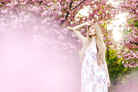 Spring Portraits Gorgeous Young Woman On  Cherry Blossom Background