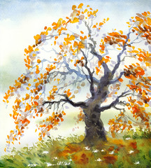 Watercolor landscape. Old autumn tree in foggy day