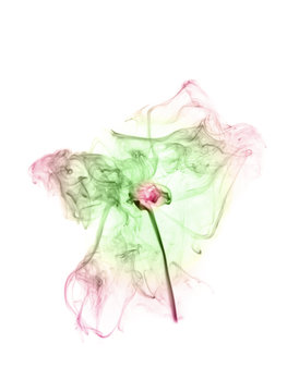 Colored smoke on a white background. Abstract flower
