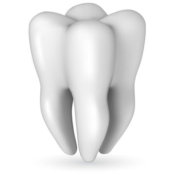 Healthy white molar tooth realistic vector illustration isolated on white background.