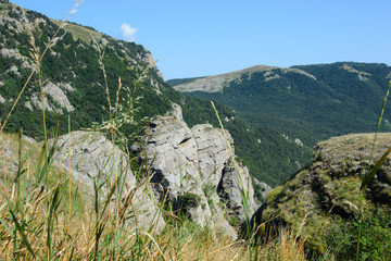 Obraz premium Amazing natural look green mountain forest.