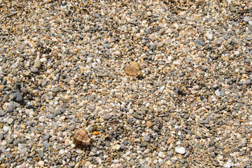 pebbles on the beach as background
