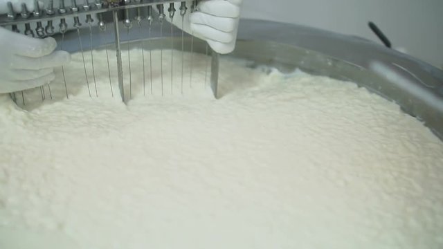 Cheese production plant worker