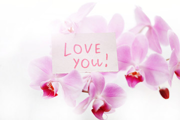 Orchid with a sign Love You