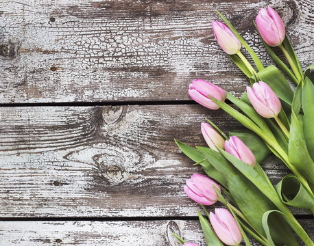 Pink tulips on a shabby wooden table.