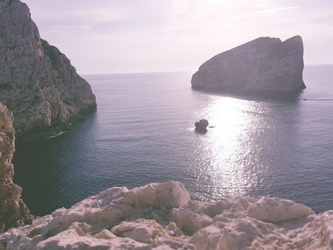 Capo caccia il funghetto