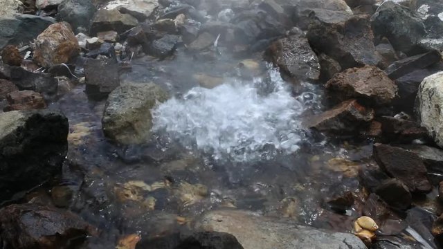 Hot water spring in Savusavu Fiji