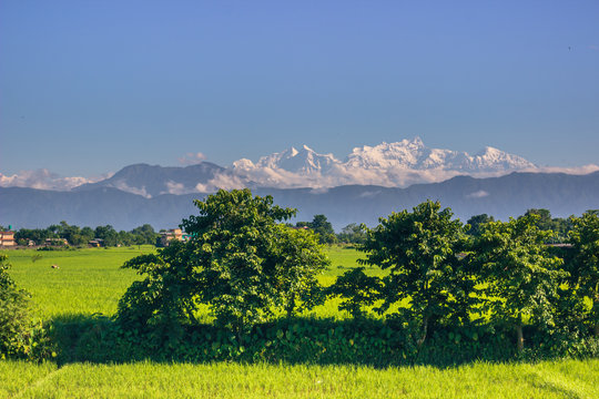 September 02, 2014 - Himalayan mountains seen from Sauraha, Nepal