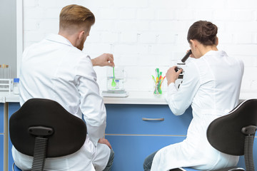 back view of scientists working with chemicals in lab