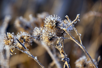 Winter landscape, snow texture