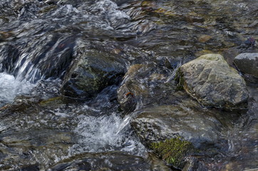 Beautiful motion blurred water stream landscape in the winter forest close up, Vitosha mountain, Bulgaria   