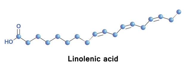 a Linolenic is an n 3 fatty acid. It is one of two essential fatty acids. It must be acquired through diet. ALA is an omega-3 fatty acid found in seeds, nuts and many common vegetable oils - obrazy, fototapety, plakaty