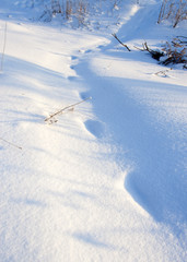 Footprints on the snow