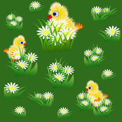 Seamless pattern withchicks and chamomile