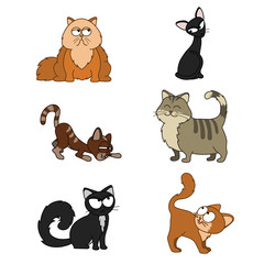 Collection of funny cats black red fat Funny set of icons with cats set Cartoon illustration of 6 cute cats Collection of kittens Black Red Tabby Skinny Fat Vector