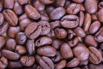 coffee beans background