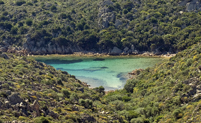 Fototapeta na wymiar Un cuore verde. Mare di Sardegna
