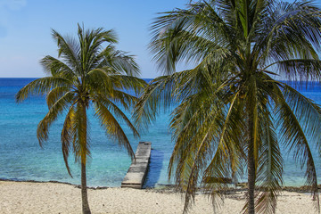 Obraz na płótnie Canvas Caribbean beach