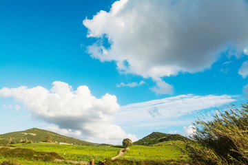 Fototapeta premium Cumulus clouds over Sardinia