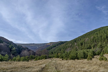 Fototapeta premium Panorama of glade and late autumn forest in Vitosha mountain, Bulgaria 
