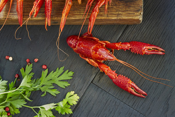 Crayfish with fresh green cilantro. Delicious, boiled, red crawfishes on a dark wooden table, close-up.