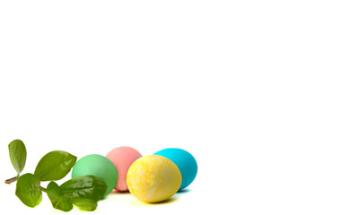 Easter eggs and sprig