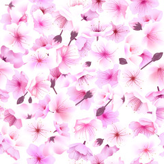 Seamless pattern with cherry blossom, Blossoming Oriental , Sakura Flowering Spring Festival Hanami - 137785759