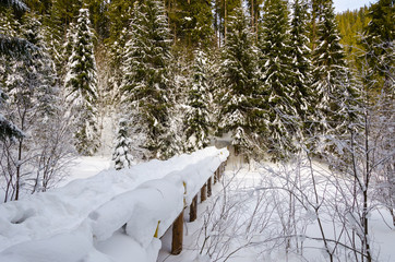 winter mountain landscape. snow field with trees covered with snow in the background, wooden bridge between the mountain slopes.