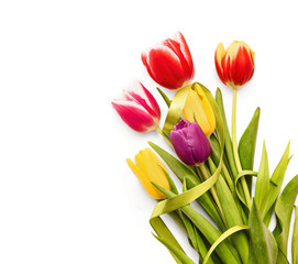 Spring tulips with green ribbon