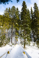 Obraz na płótnie Canvas winter mountain landscape. snow field with trees covered with snow in the background, wooden bridge between the mountain slopes.