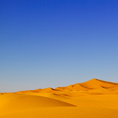 Fototapeta na wymiar Sand Dunes Morocco desert