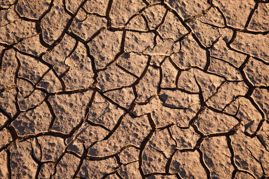 brown cracked dirt background