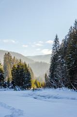Winter mountain landscape, frozen river covered with snow flowing between the trees.